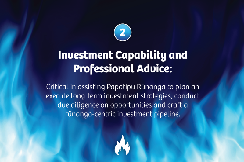 Investment Capability and Professional Advice