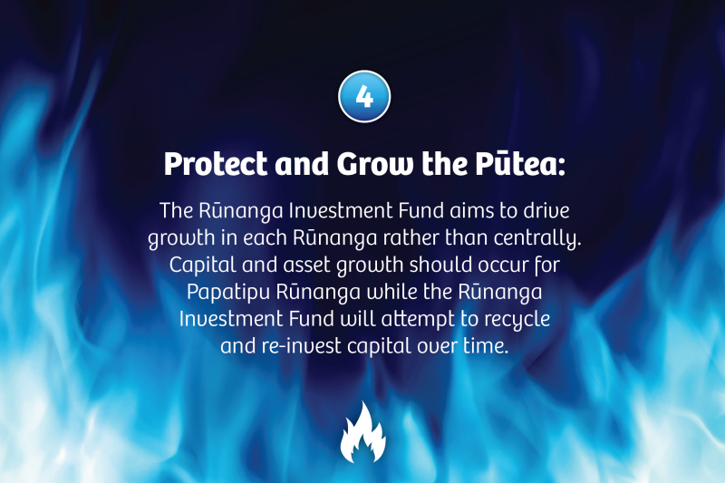 Protect and Grow the Pūtea