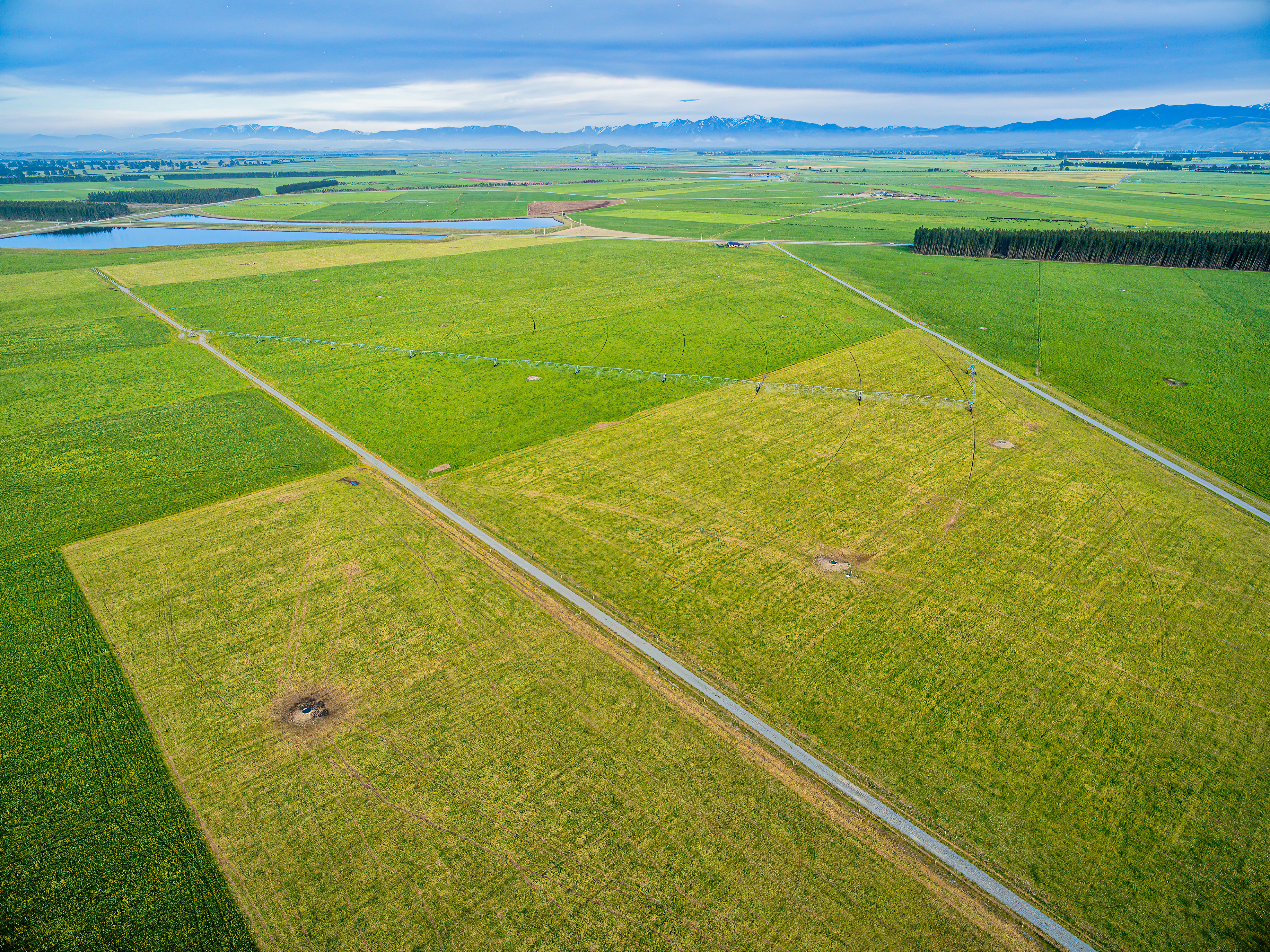 Te Whenua Hou Te Whenua Whitiora regenerative farm trial