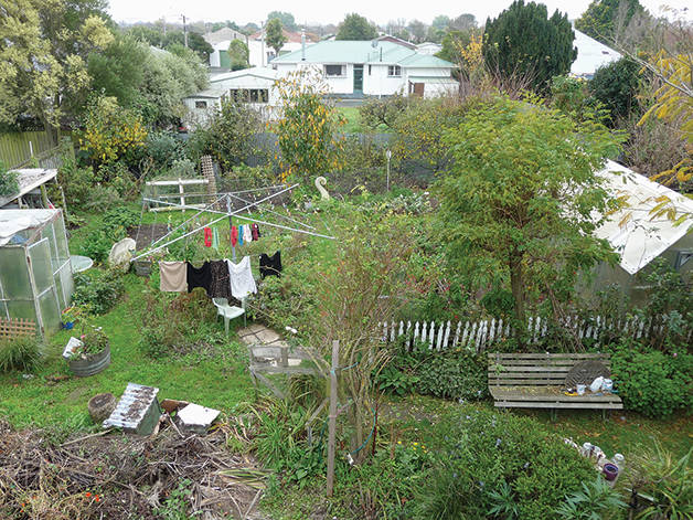 Overview of garden which may have everything removed, dug out and replaced